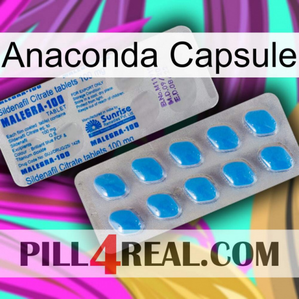 Anaconda Capsule new15.jpg